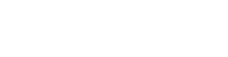 news icon white