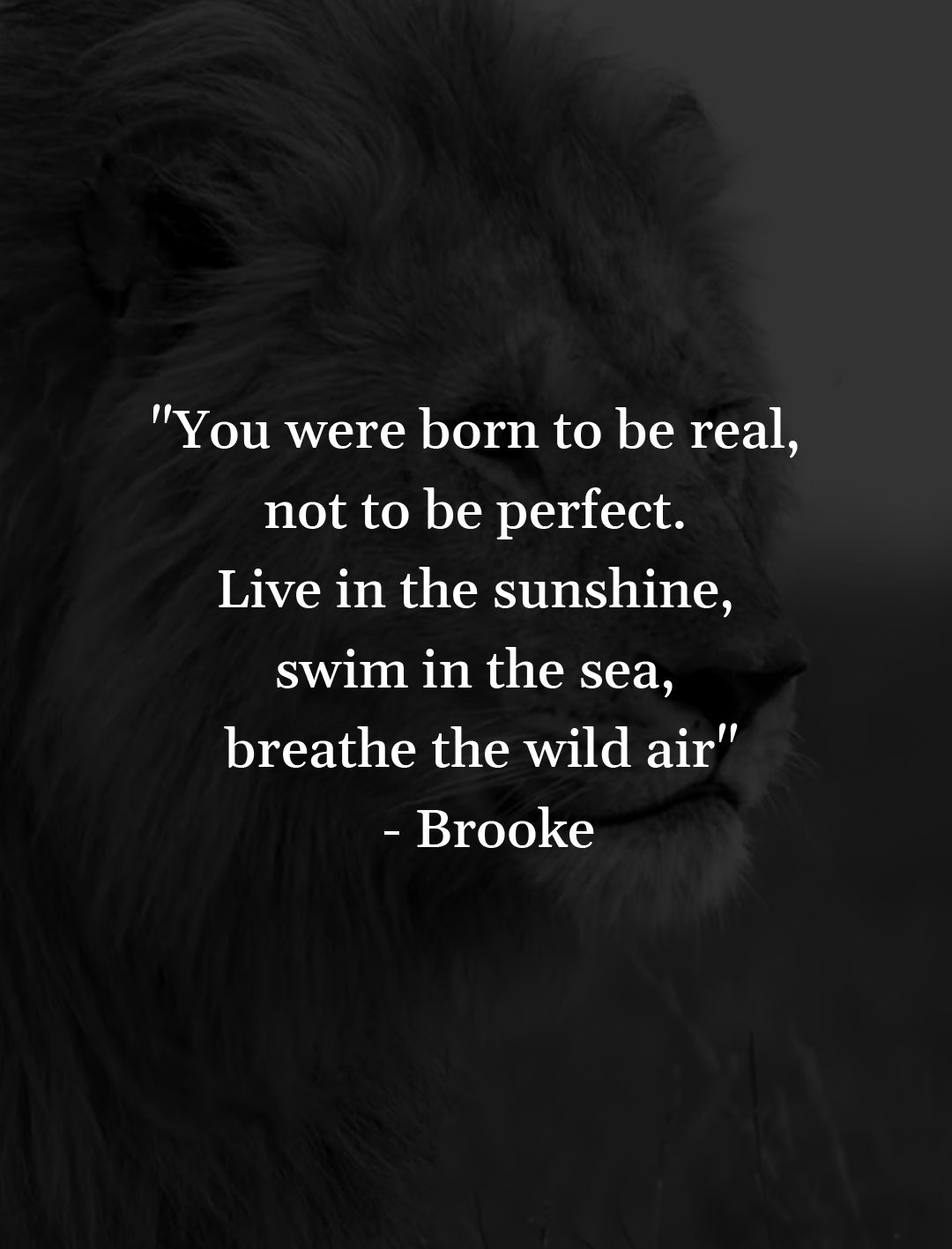 hunter quotes brooke